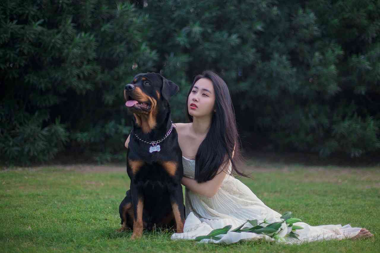 ротвейлер на лужайке с девушкой в белом платье азиатской внешности — рейтинг лучших собак для квартиры sova.live
